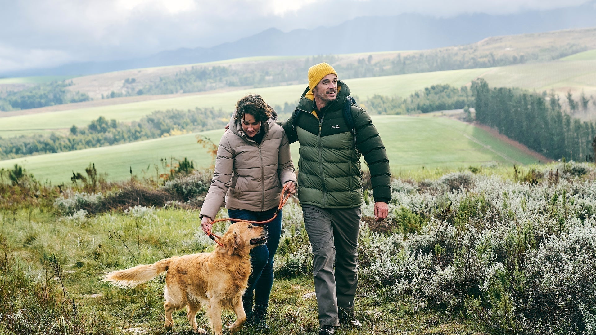Best Dog Walks in the UK: 50+ Family‑Friendly Routes Near You