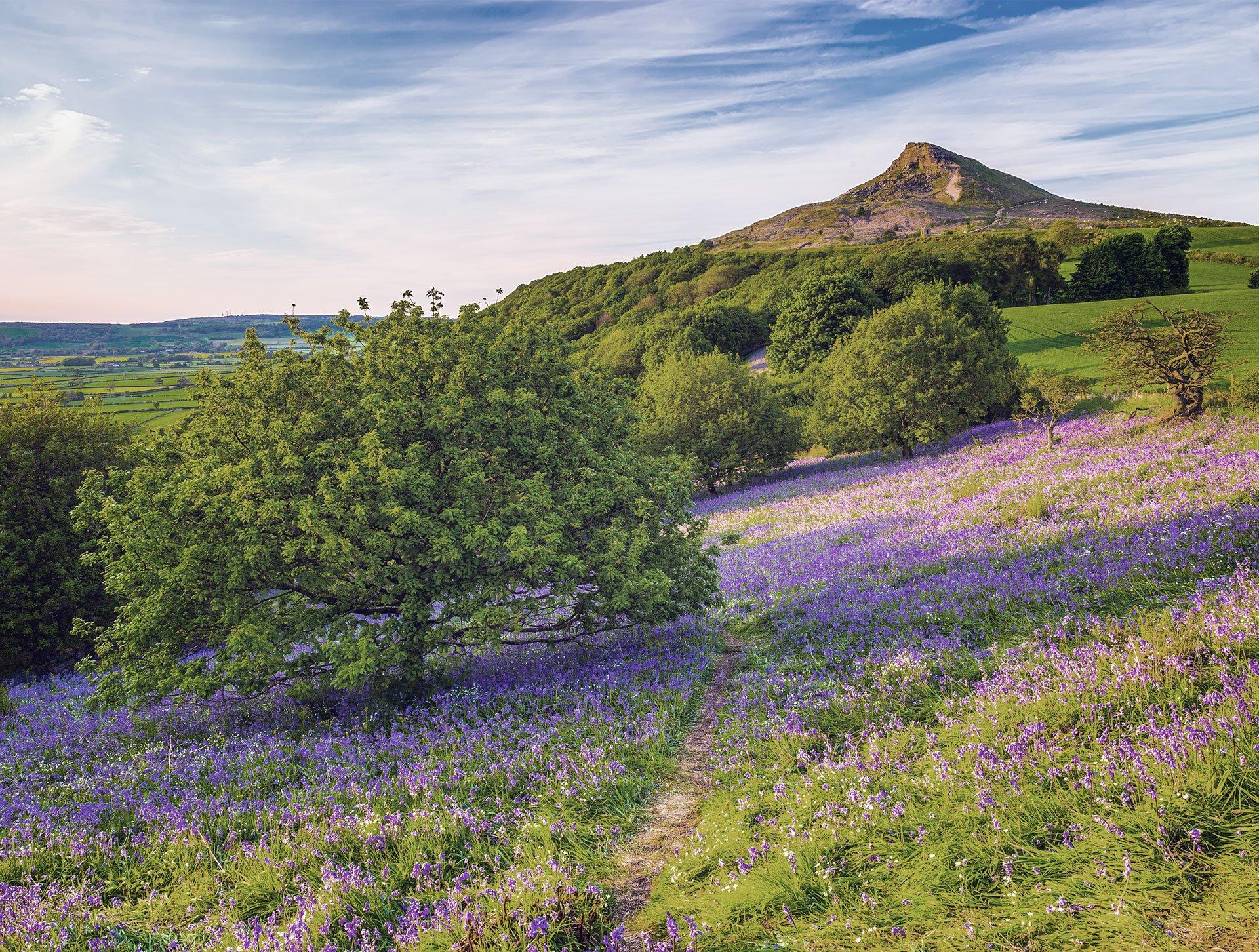 Your Guide to Britain's National Parks