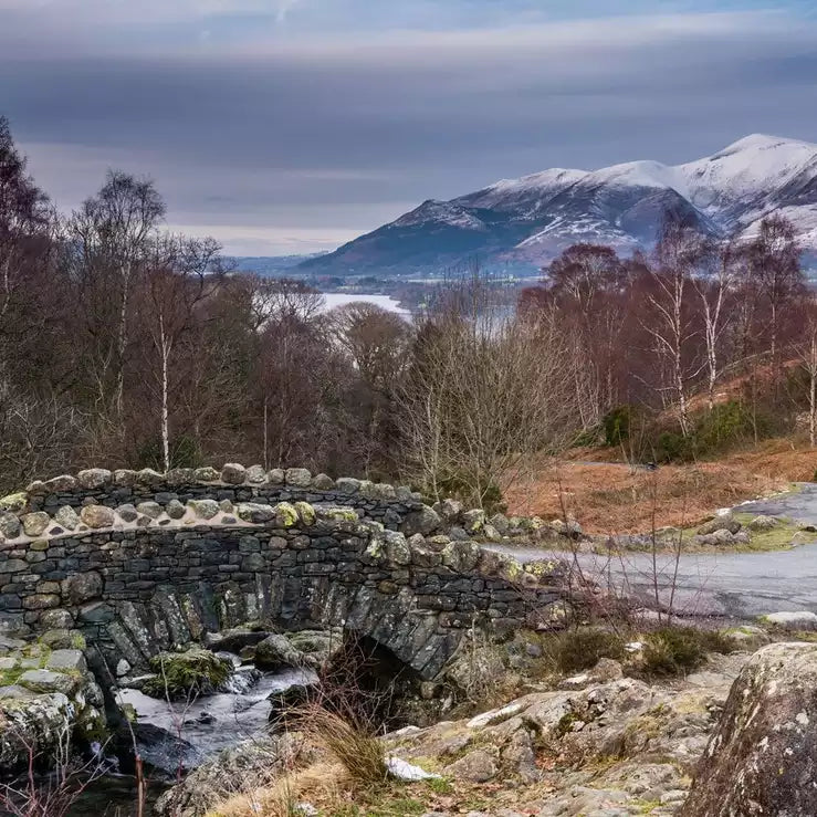 Top Winter Walks Made for Adventure