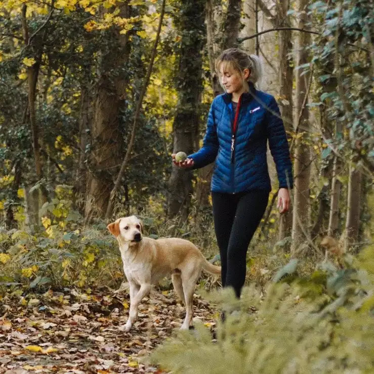 Best Dog Walks In The UK: 50+ Family-Friendly Routes Near You