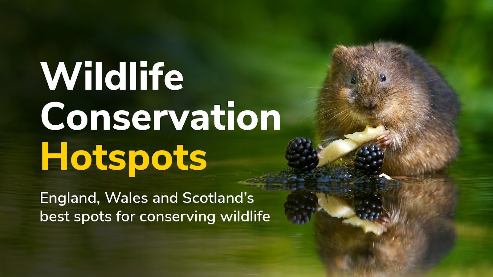 Wildlife Conservation Hotspots