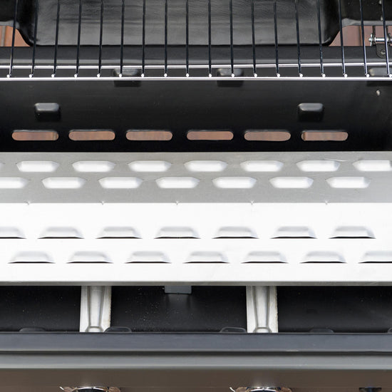 2 Series Classic L Barbecue