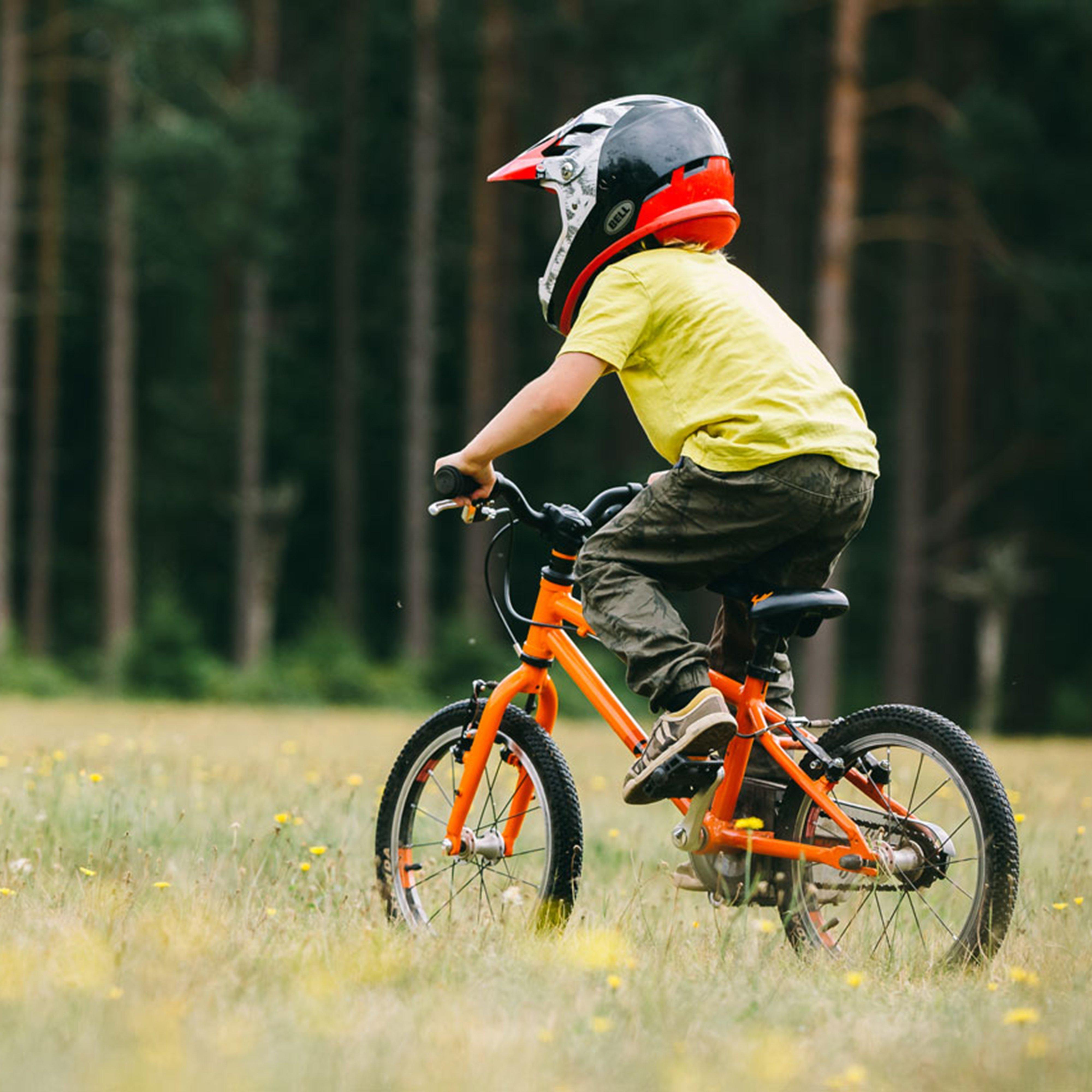 Wild 16 Kids’ Bike