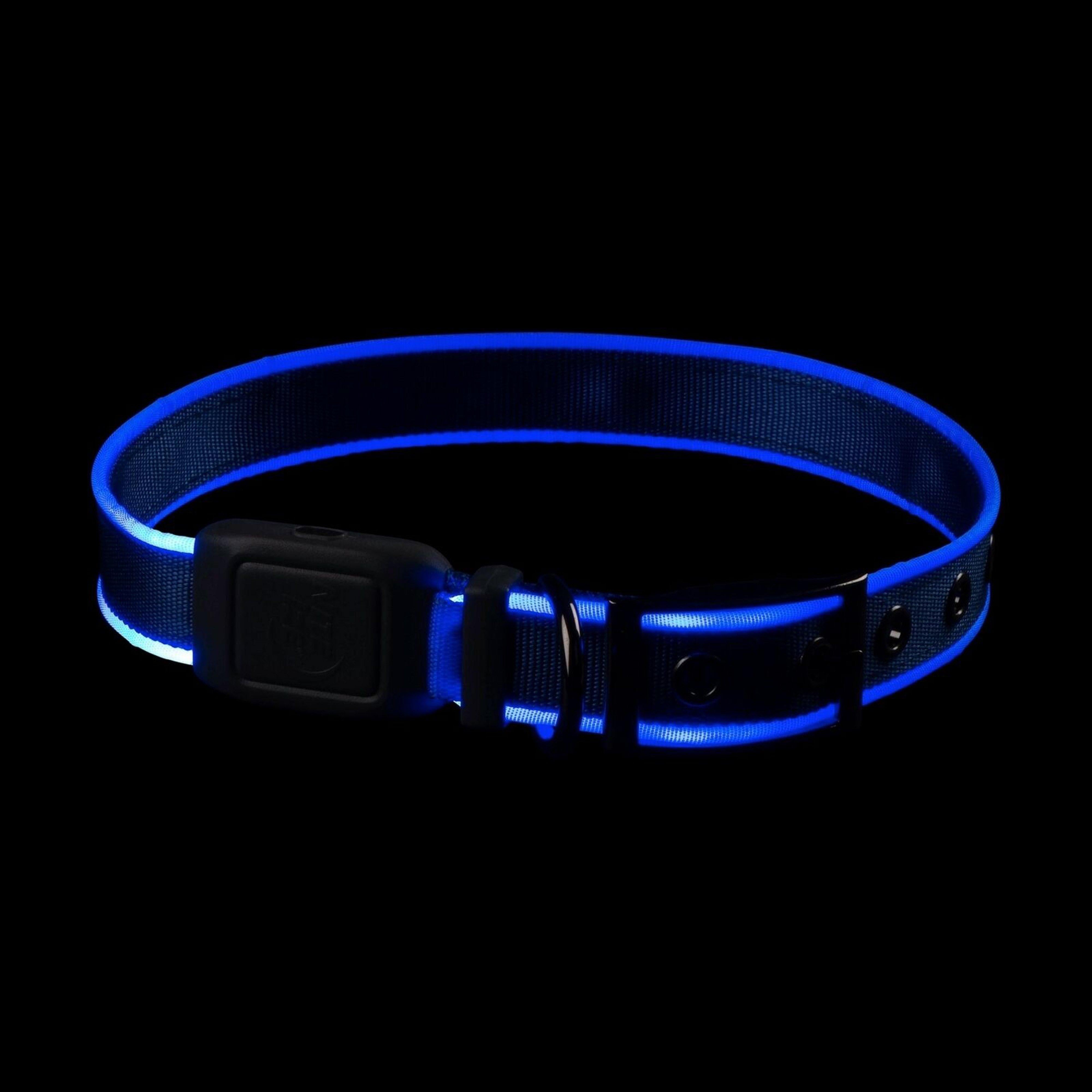 Nitedog® LED Rechargeable Collar Blue Large