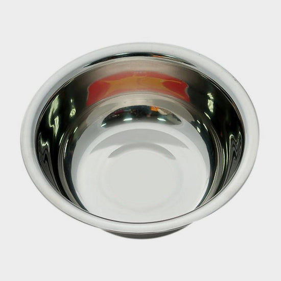 Stainless Steel Bowl