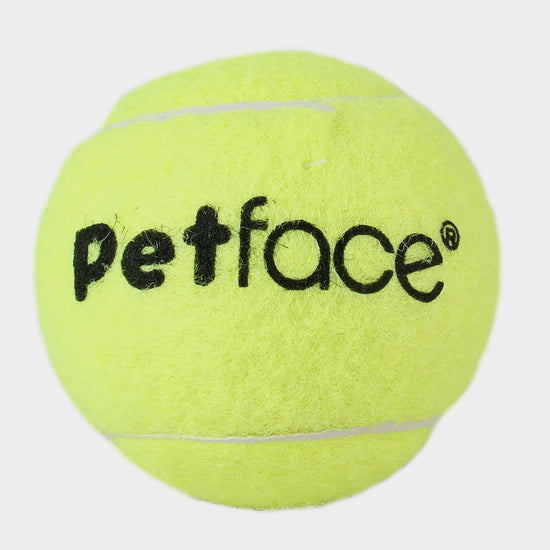 Single Tennis Ball