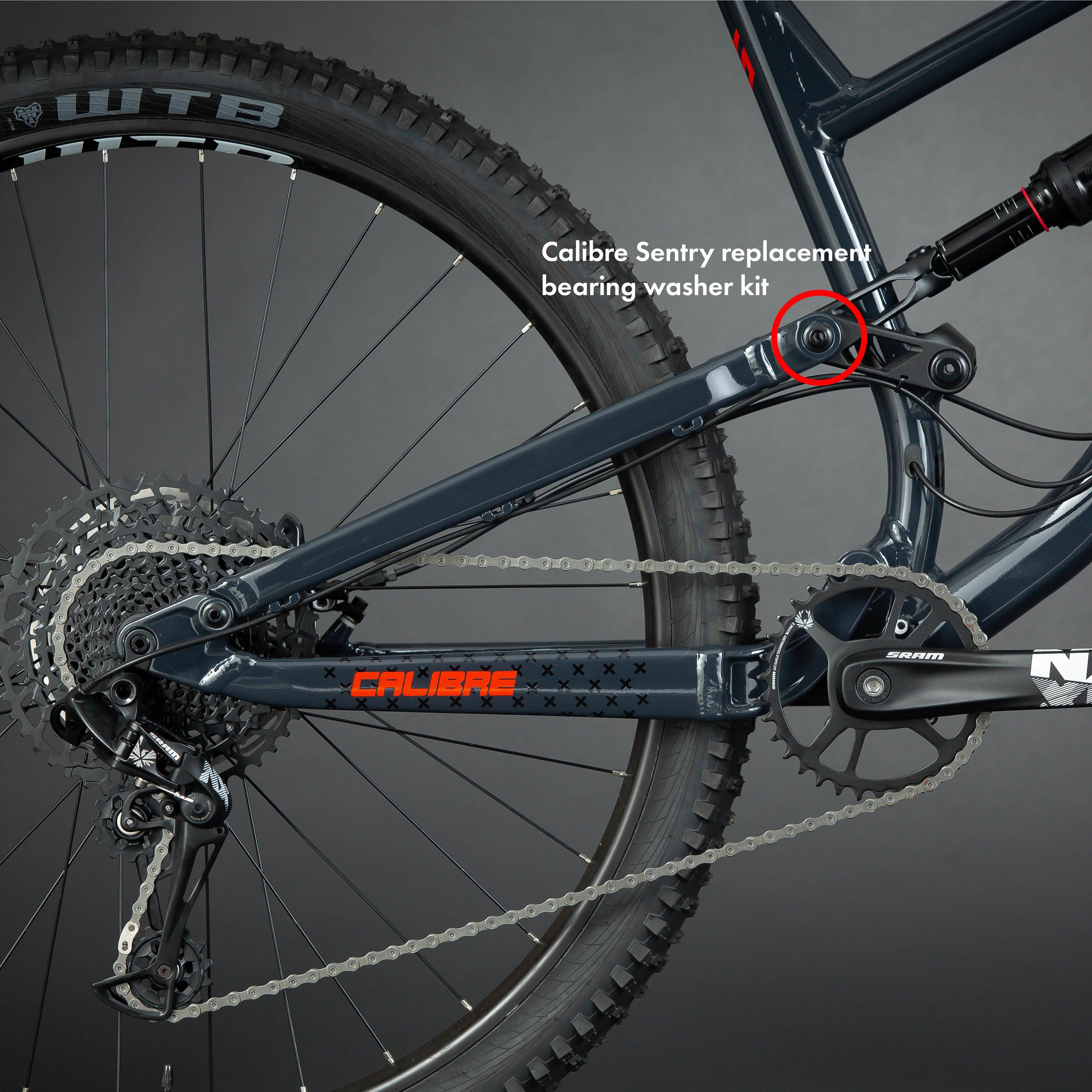 Sentry Replacement Bearing Washer Kit