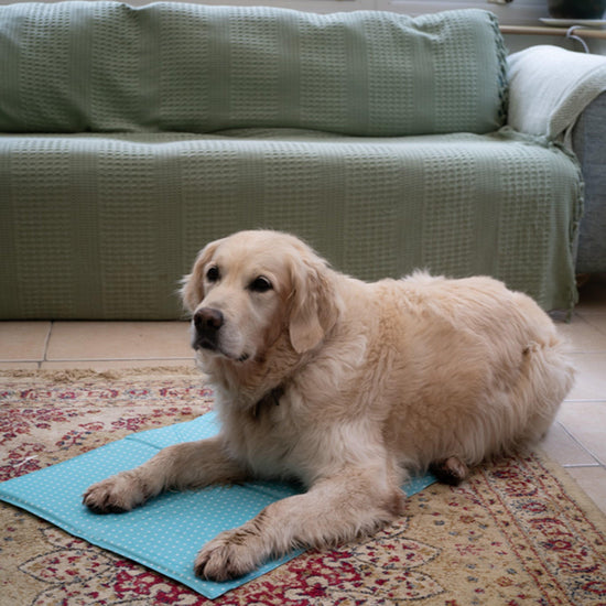 Cooling Pet Mat