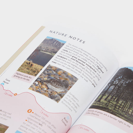 Short Walks Made Easy – Lake District