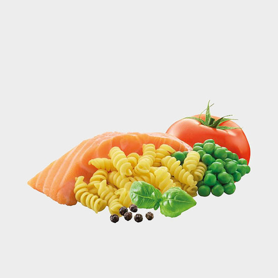 Pasta Salmon 600