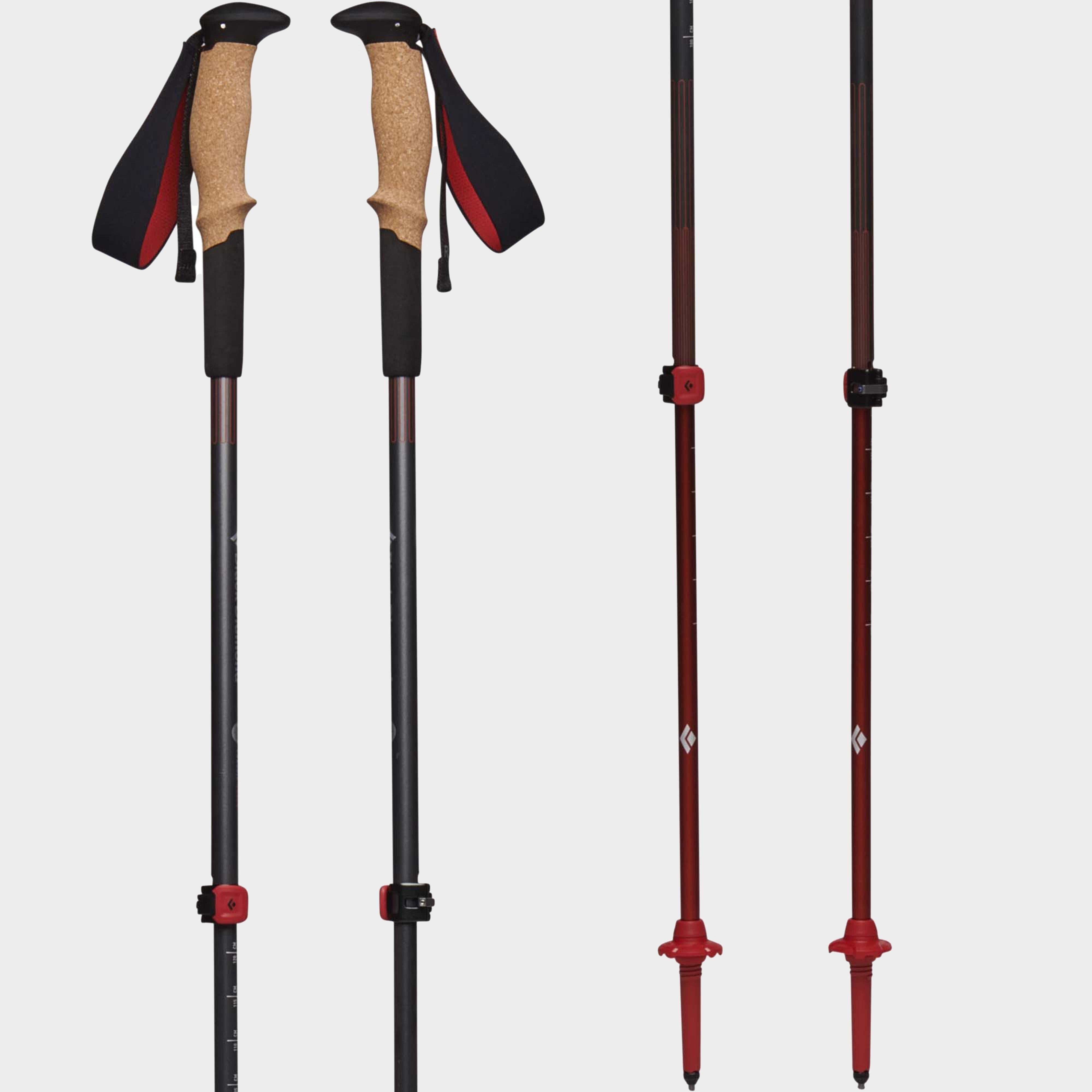 Pursuit Trekking Poles (S/M)