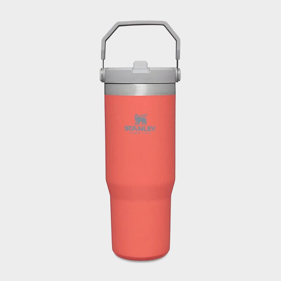 IceFlow™ Flip Straw Tumbler 0.89L