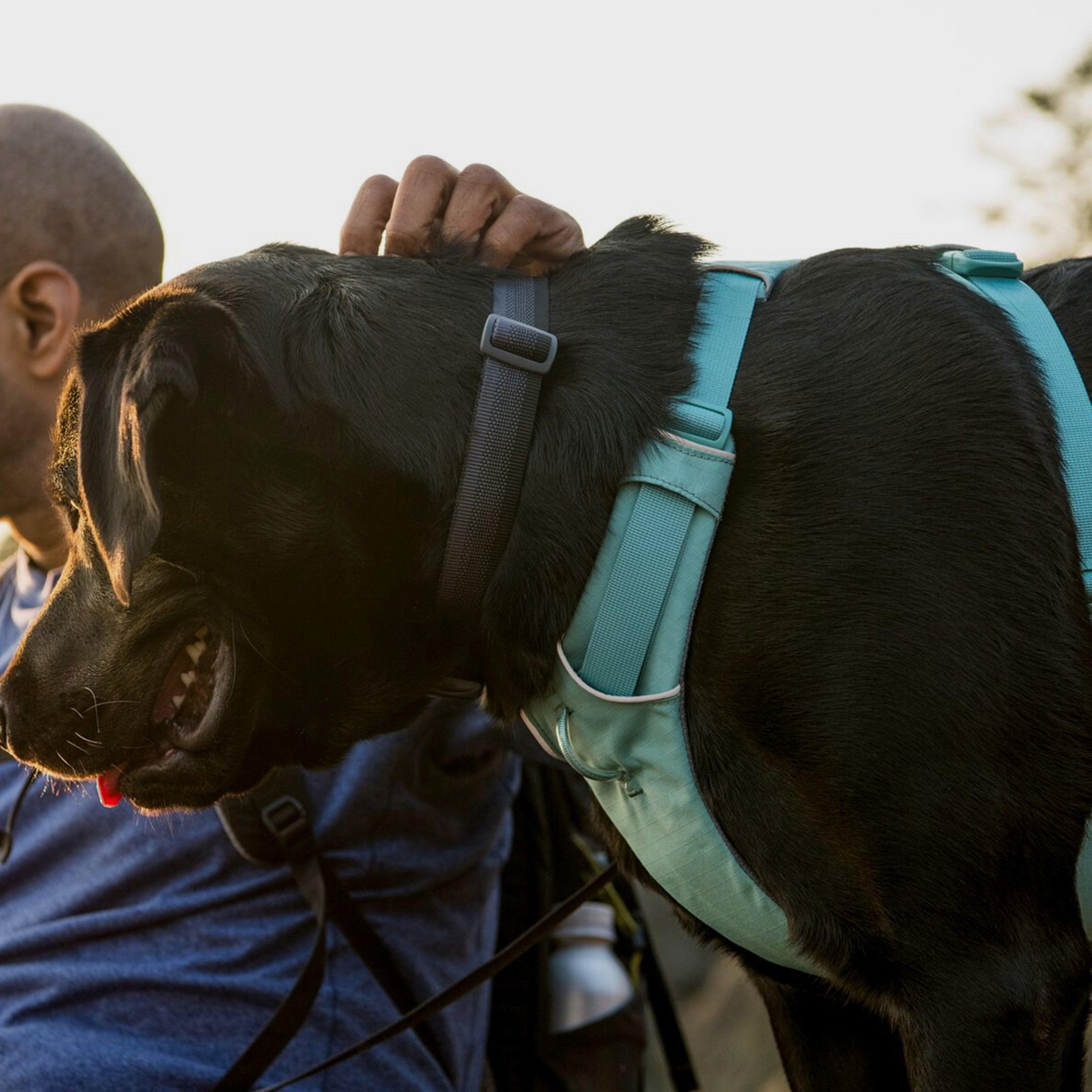 Front Range Dog Harness River Rock Green