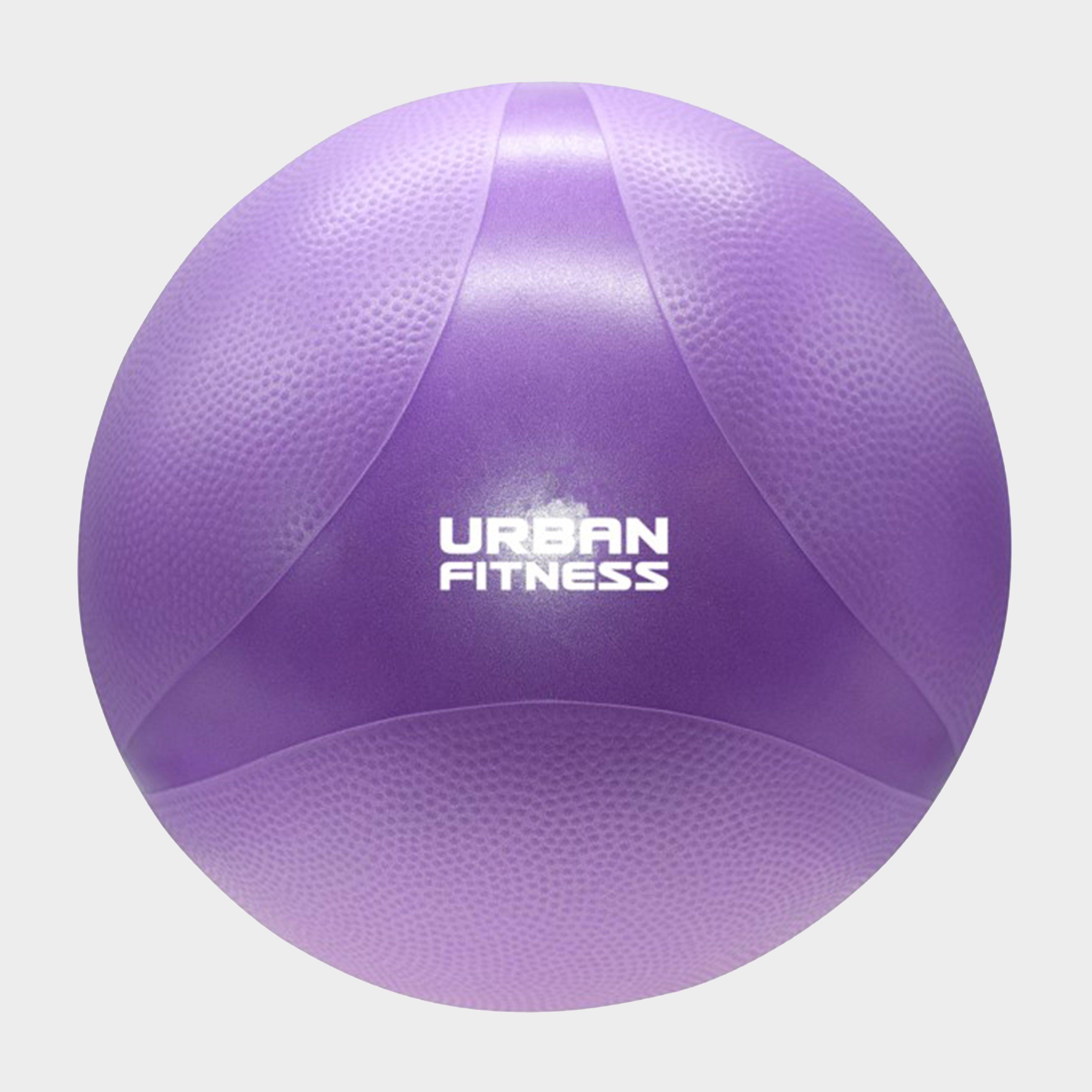 Swiss Gym Ball 55cm