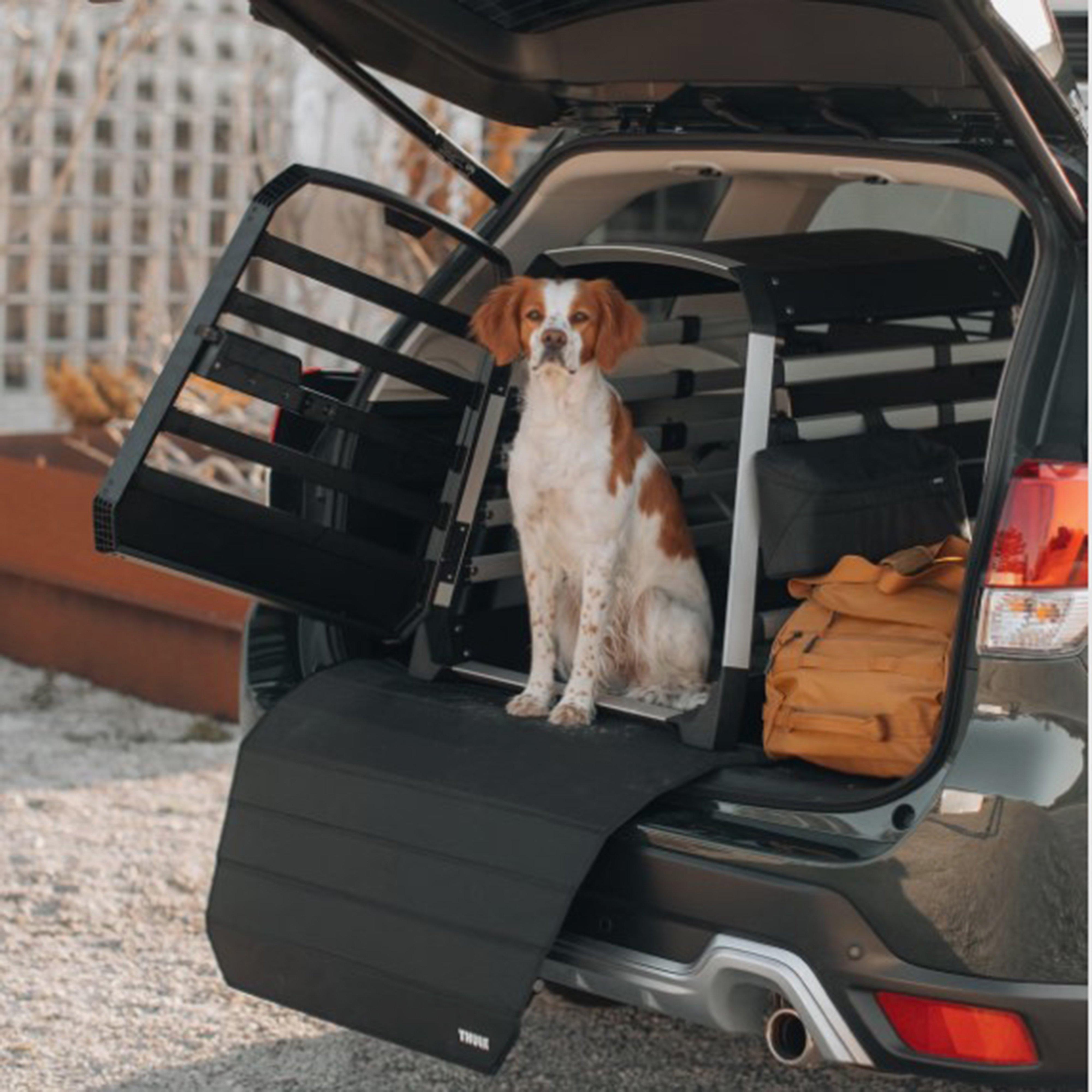 Allax Bumper Protector Wide