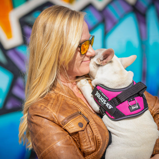 Original K9 Powerharness Size 1