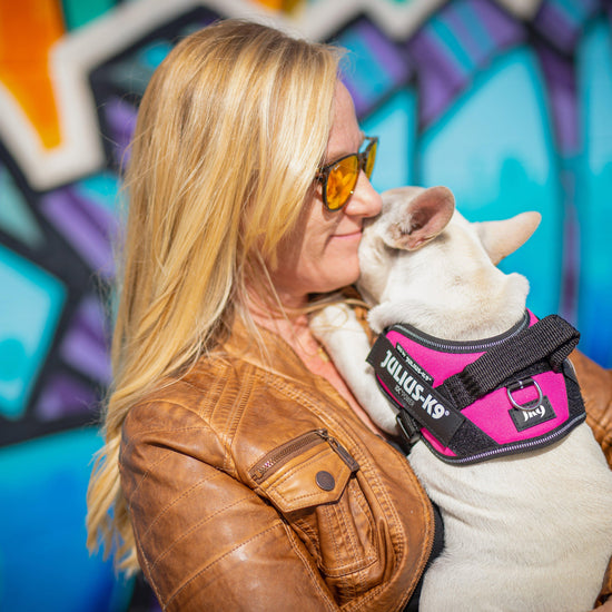 Original K9 Powerharness Size 2