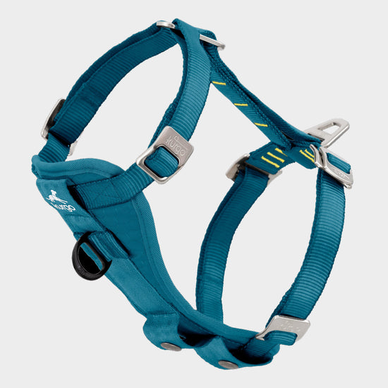 Tru-Fit Smart Harness