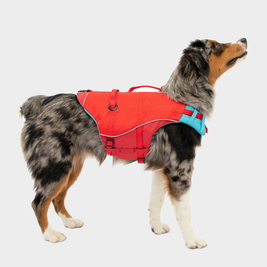 Surf N Turf Dog Life Jacket