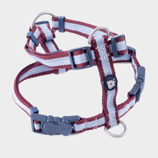 Stripe Dog Harness Medium
