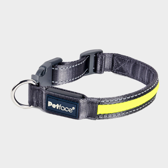 Reflective Flashing Dog Collar Small