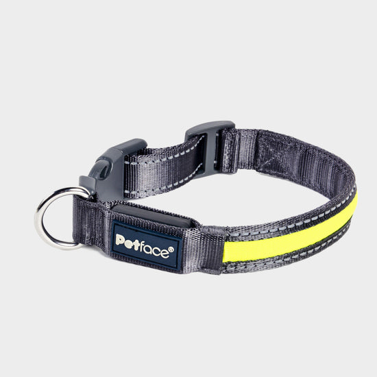 Reflective Flashing Dog Collar Medium