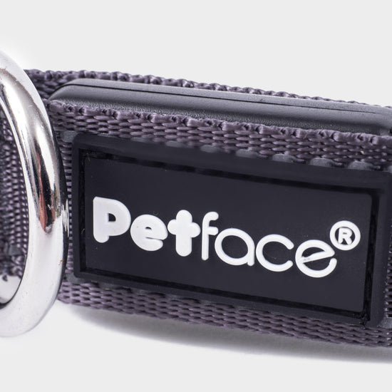 Reflective Flashing Dog Collar Large