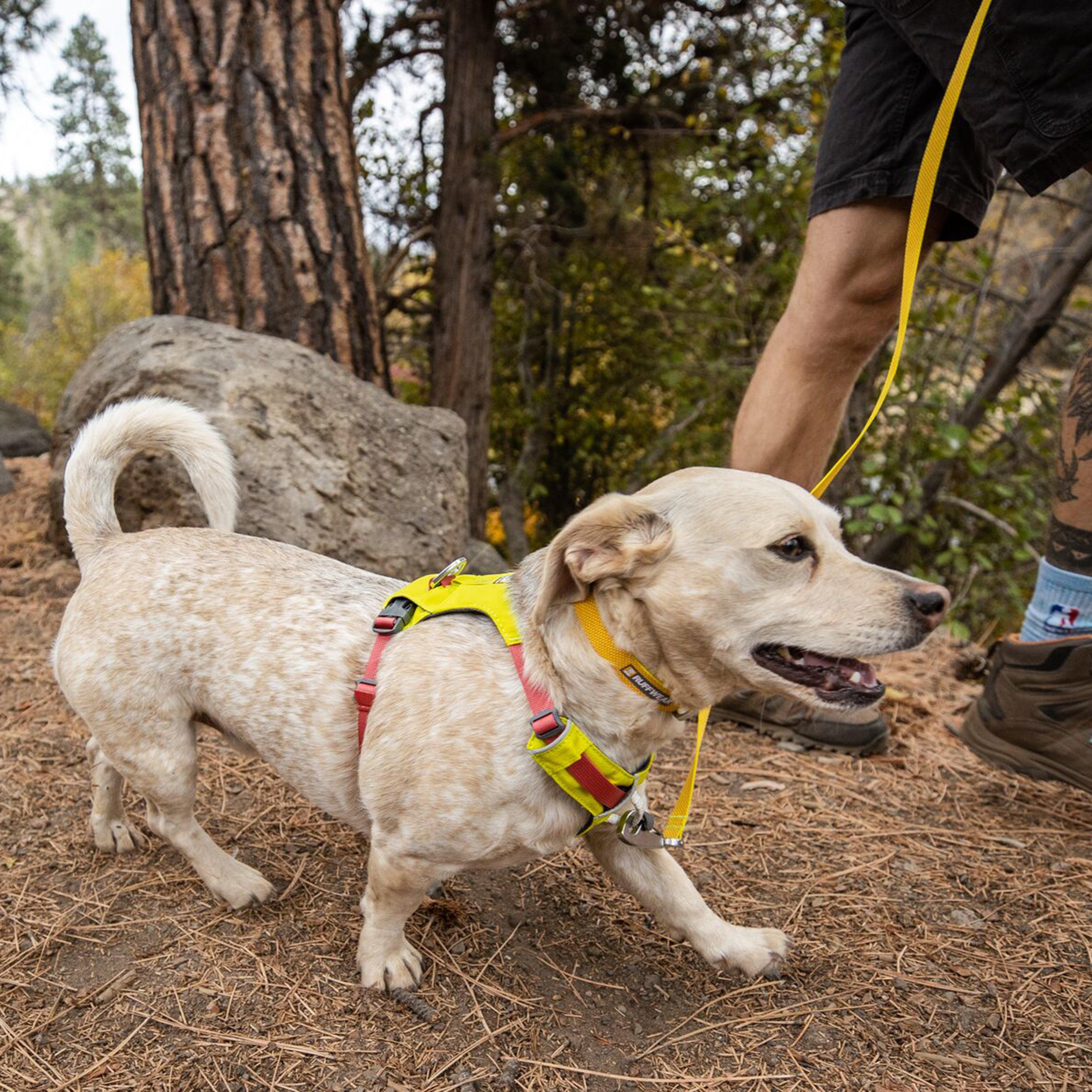 Hi & Light™ Lightweight Dog Harness