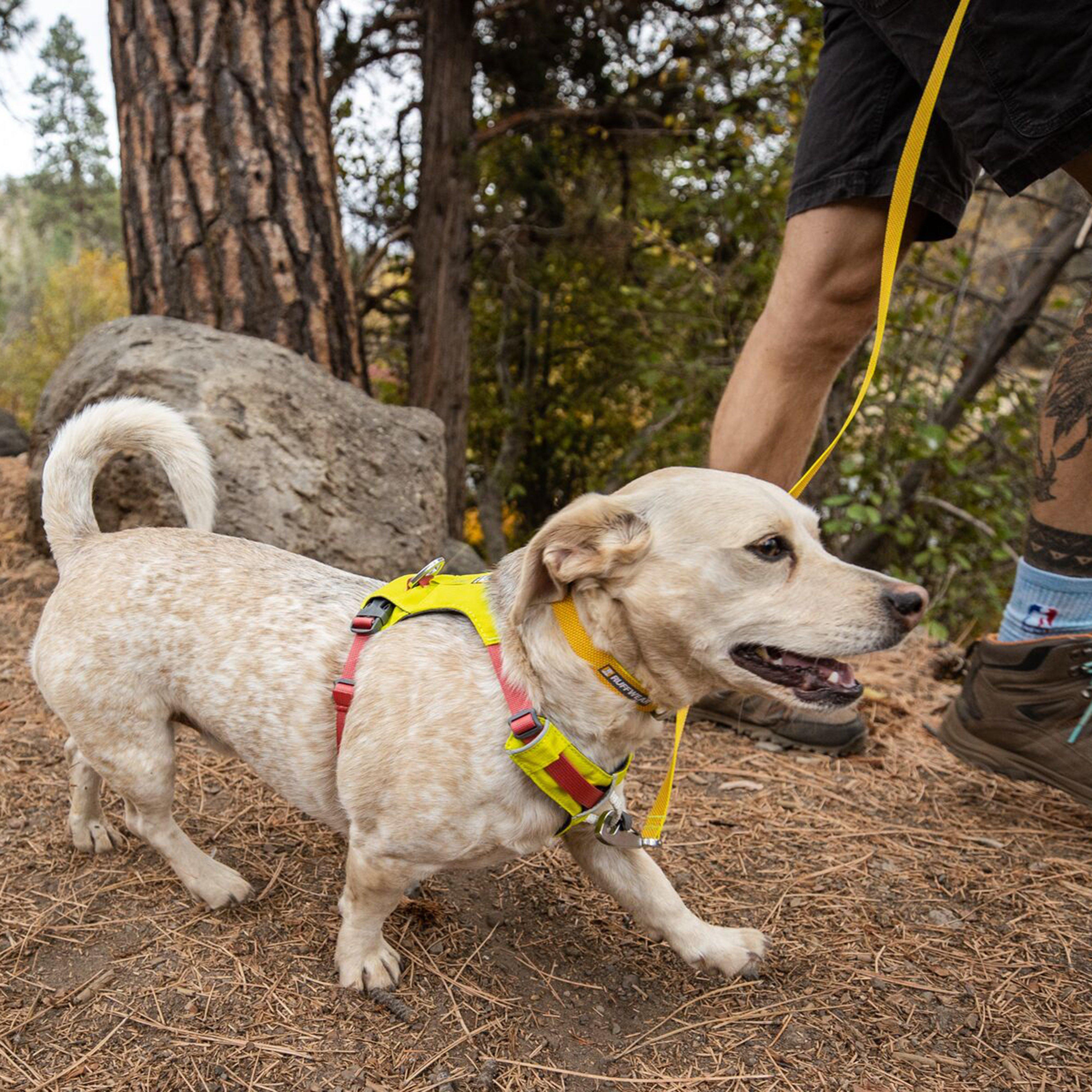 Hi & Light™ Lightweight Dog Harness