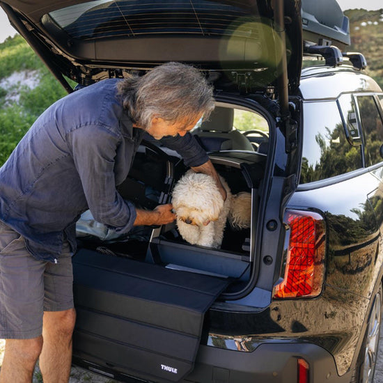 Allax Threshold Compatible Dog Car Crate XS