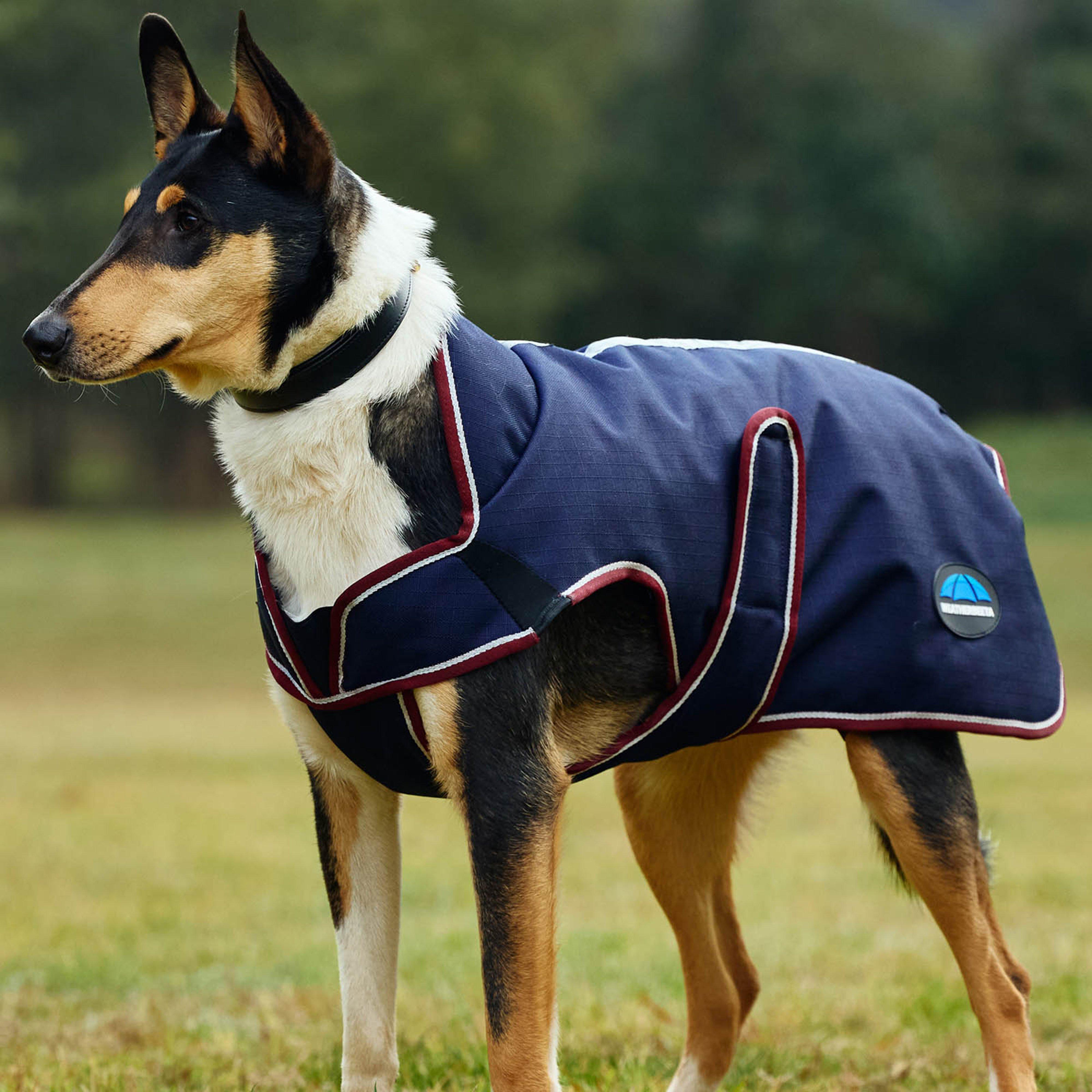 ComFiTec Premier Deluxe Waterproof Dog Coat