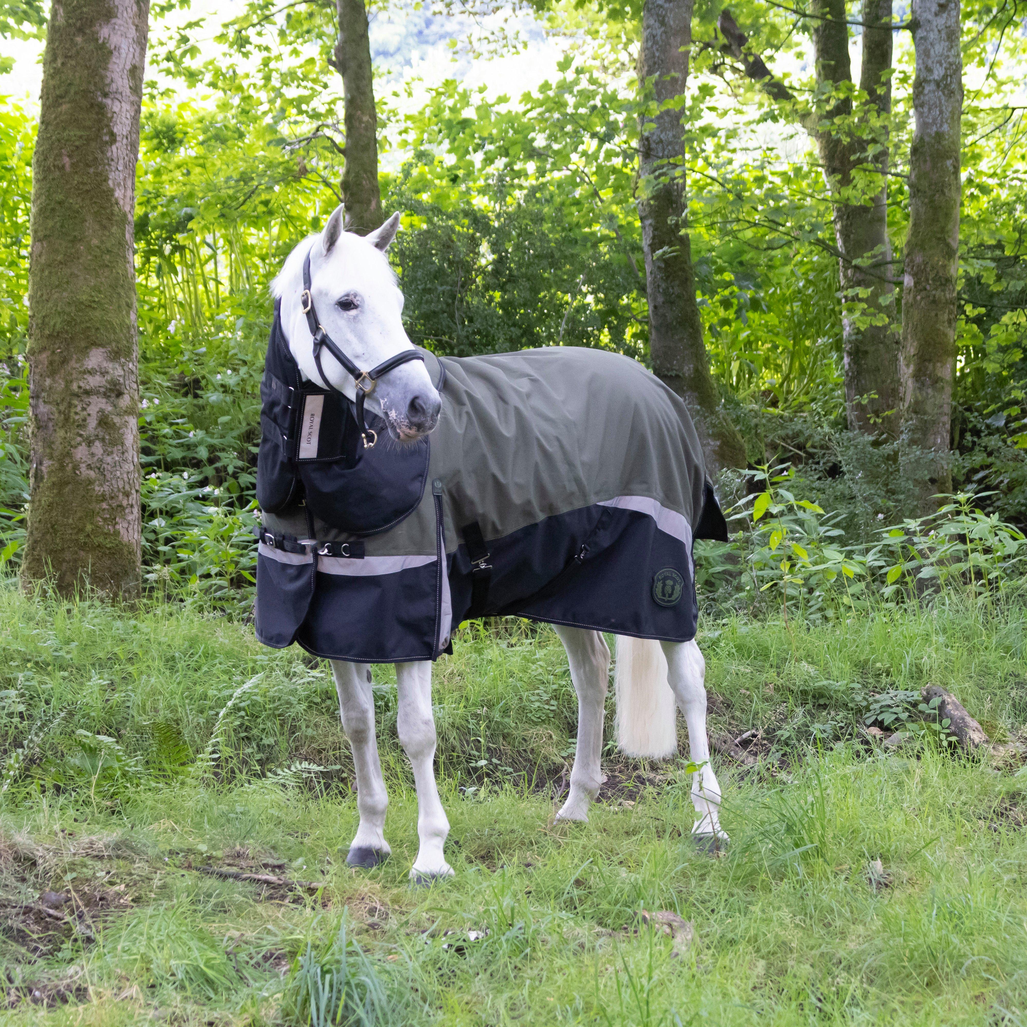 Pro 200g Turnout Rug