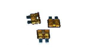 10 Amp 30mm Fuse