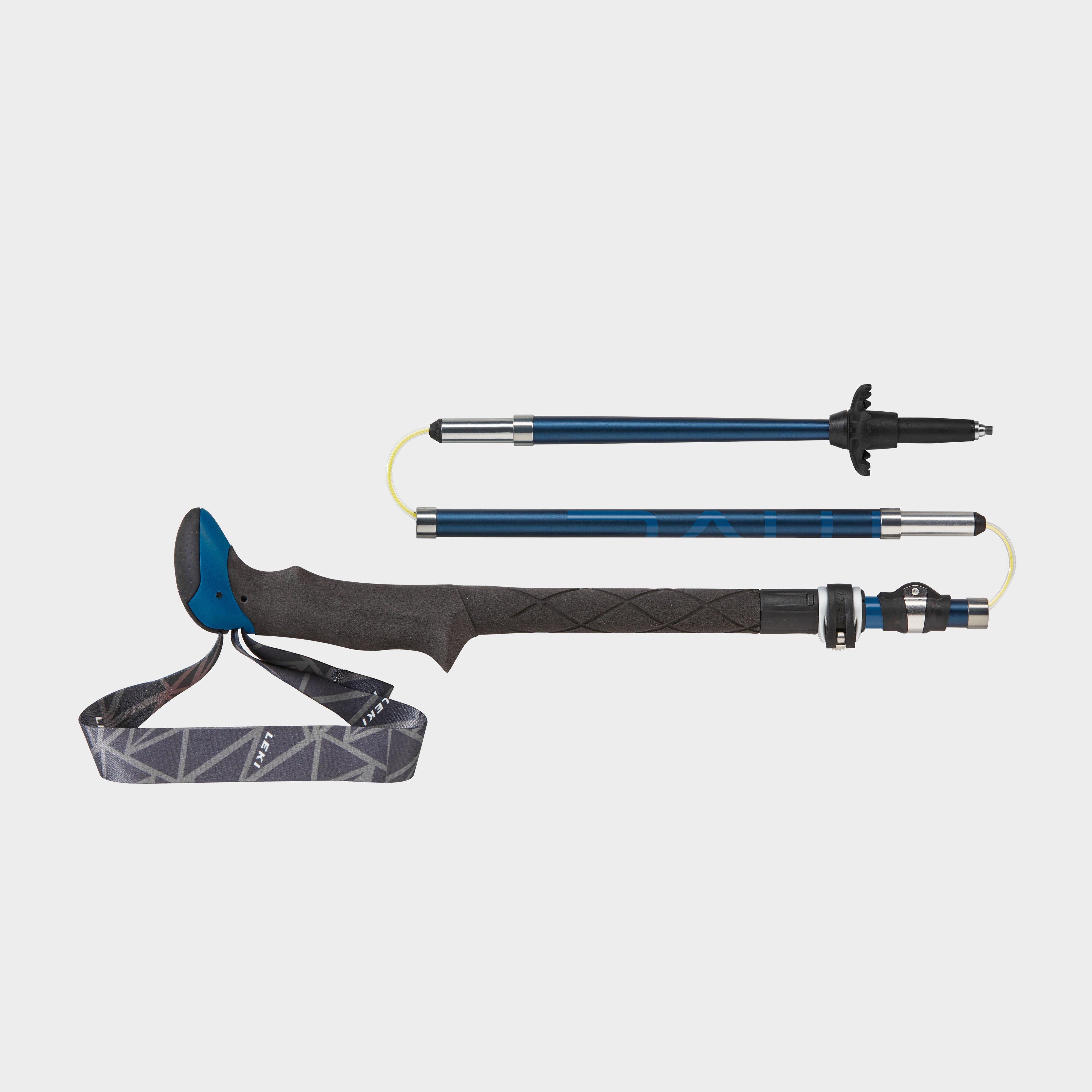 Micro Vario Carbon Walking Poles