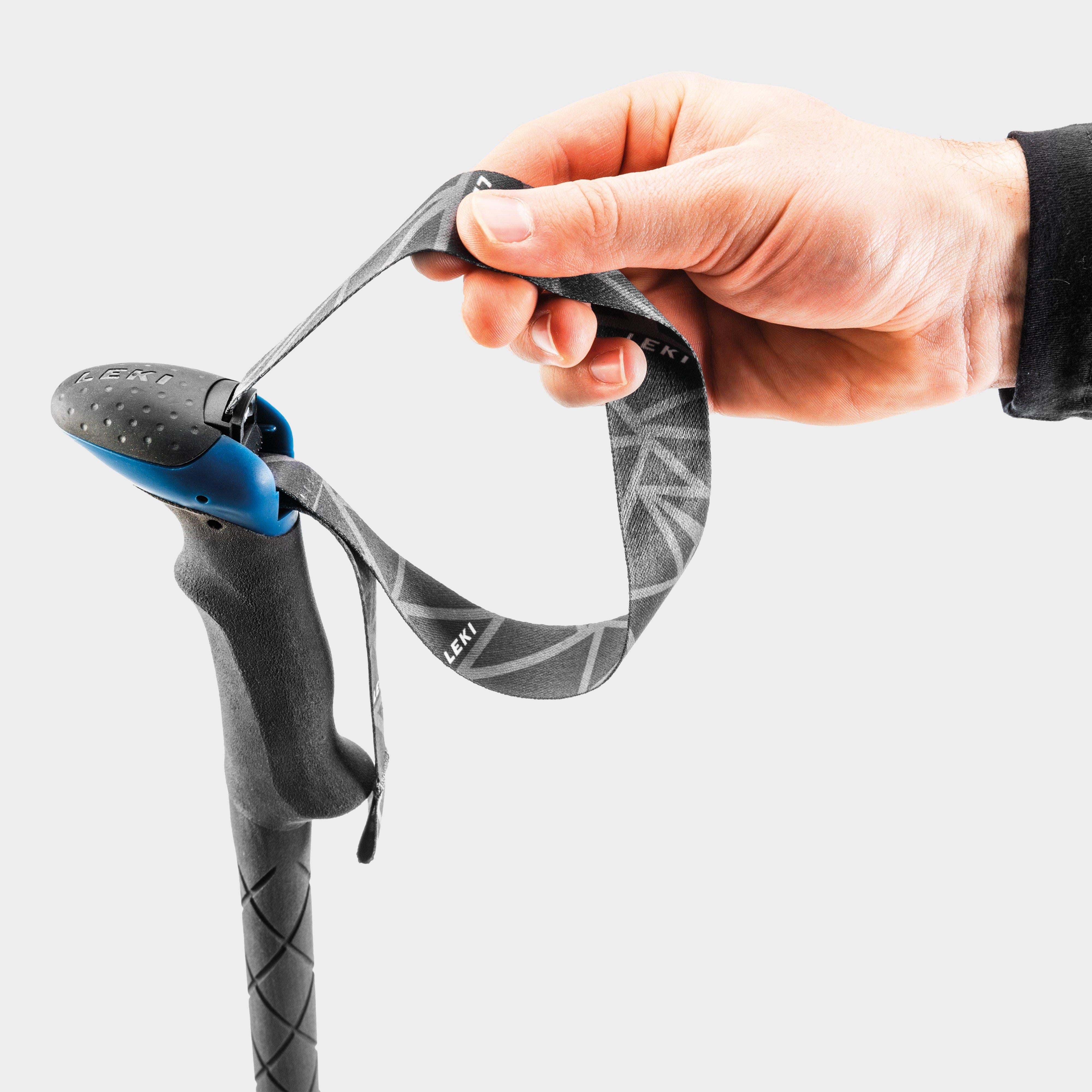 Micro Vario Carbon Walking Poles