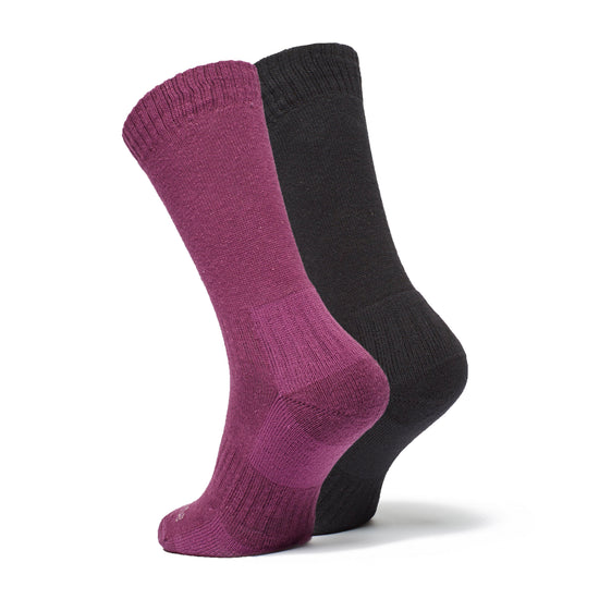 Women's Dingle Socks - 2 Pack