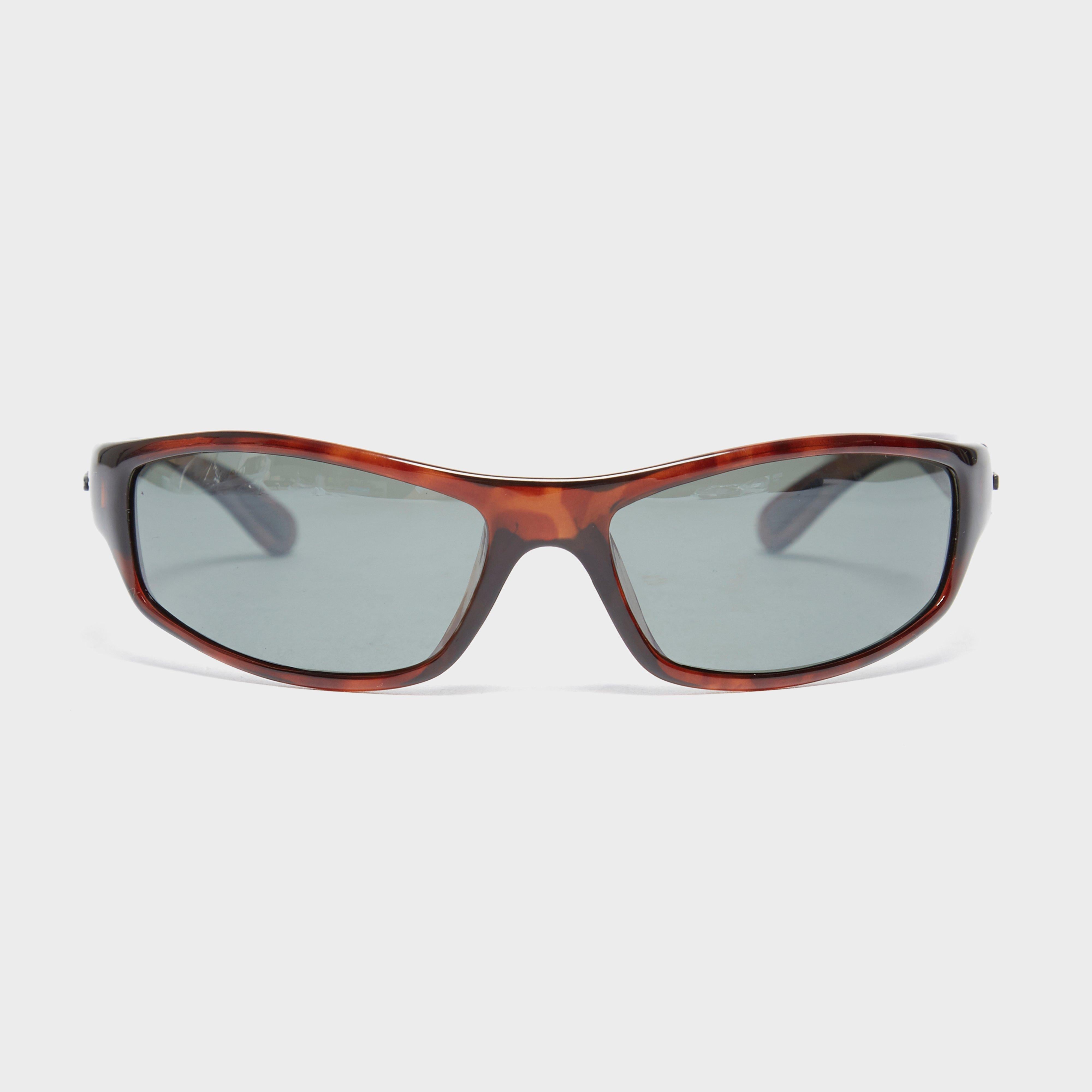 Hornet PT22 Sports Sunglasses