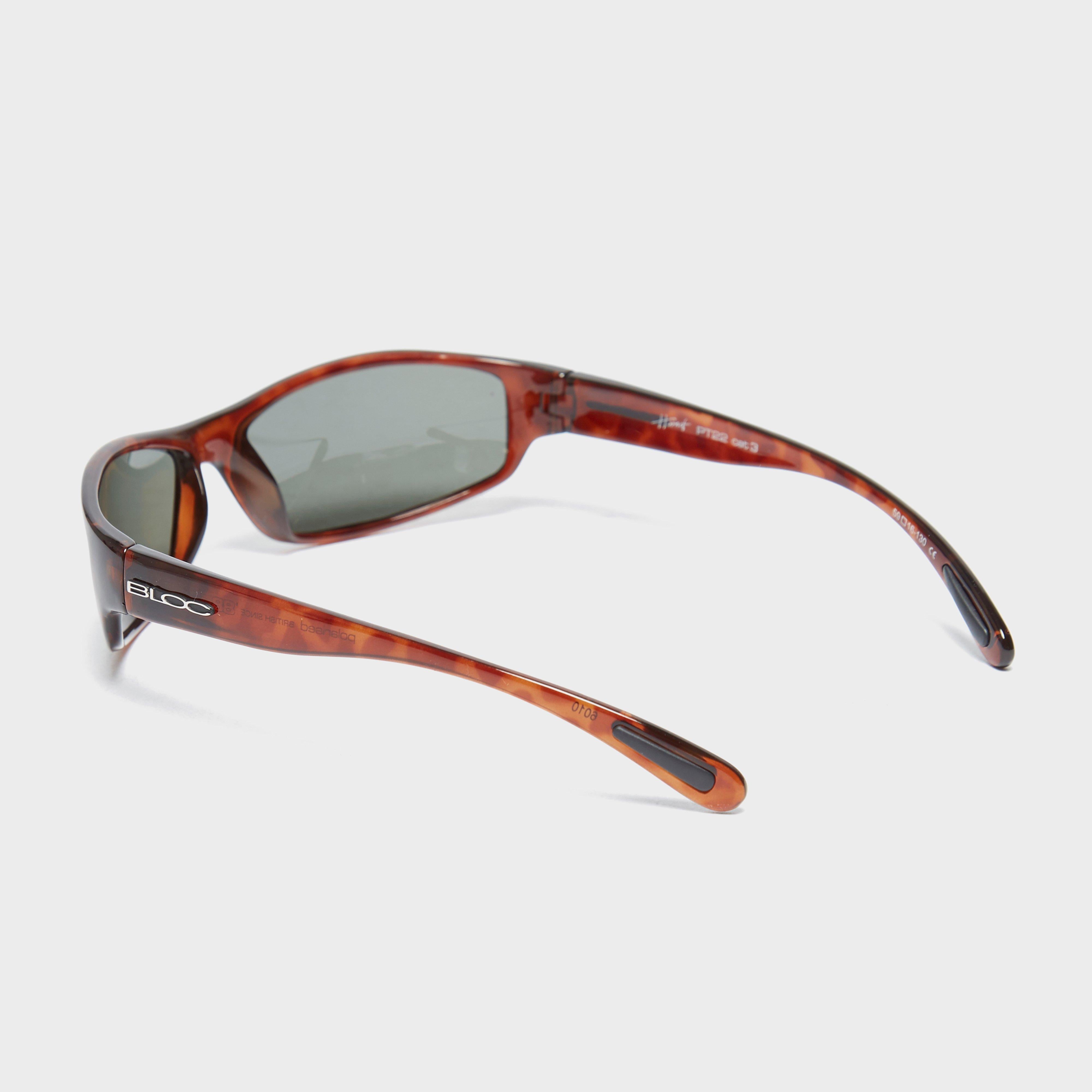 Hornet PT22 Sports Sunglasses