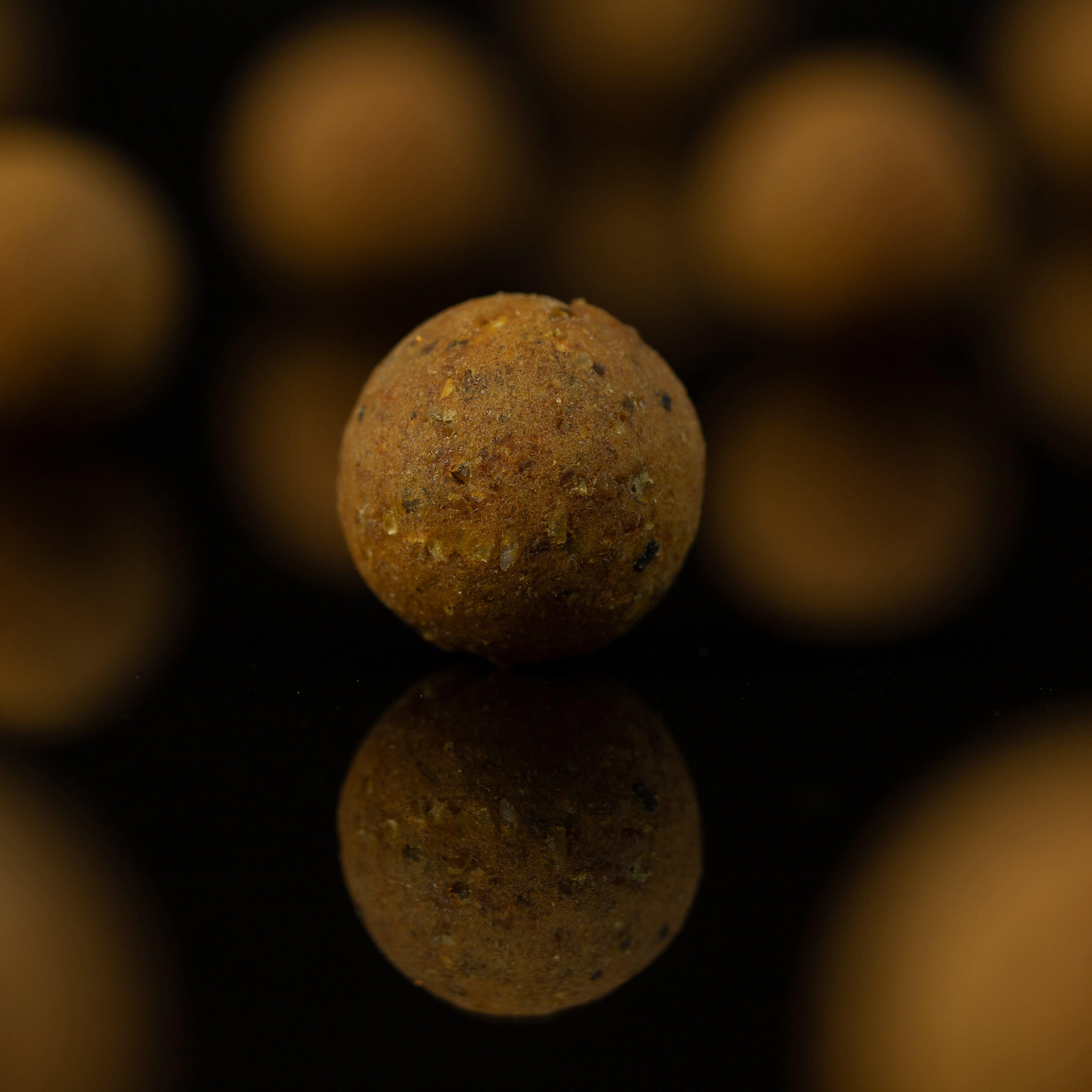The Krill Shelf Life 16mm 1k