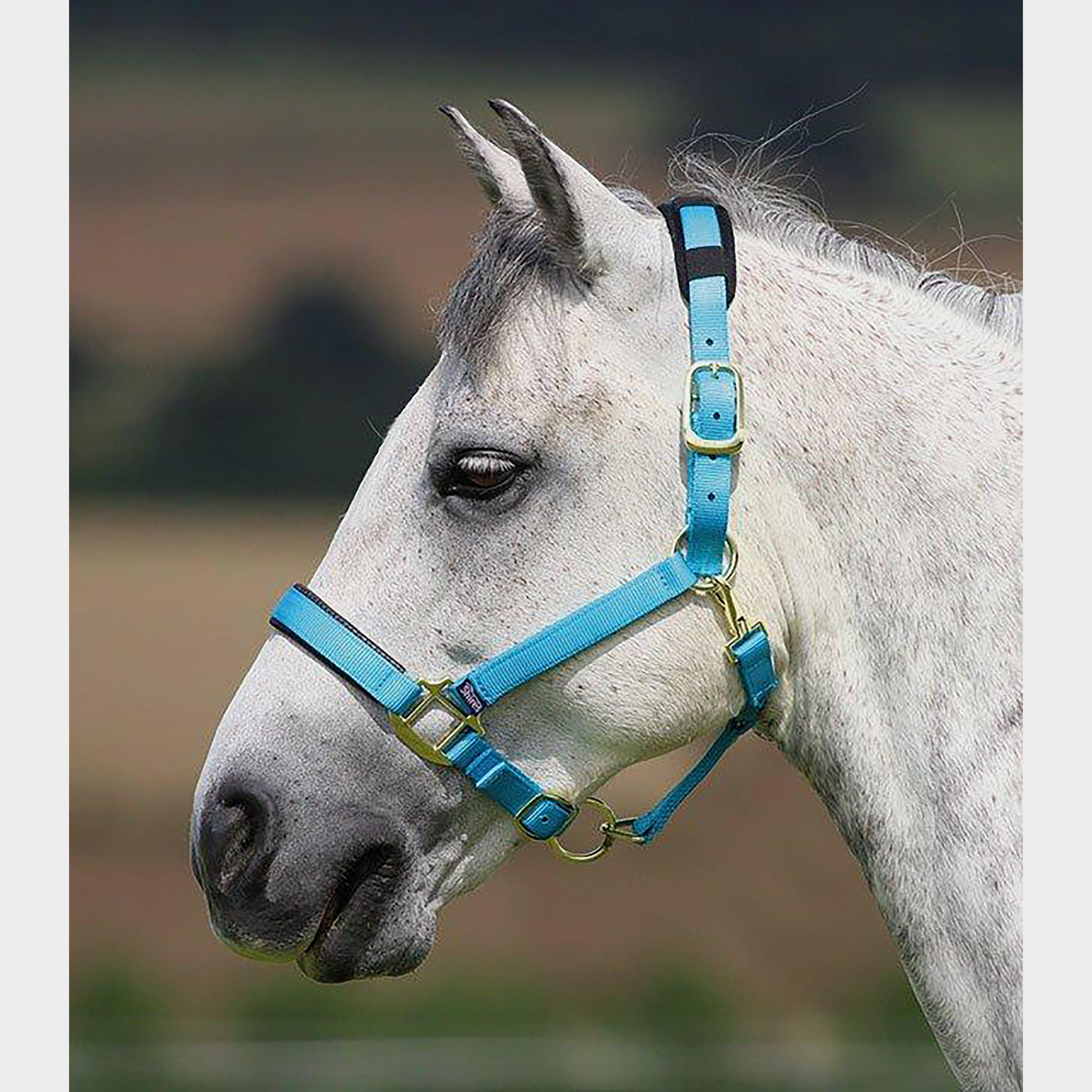 Topaz Nylon Headcollar