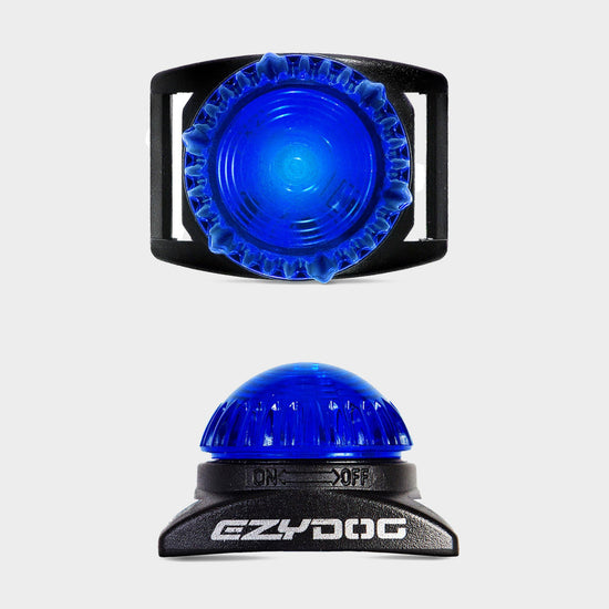 Adventure Light
