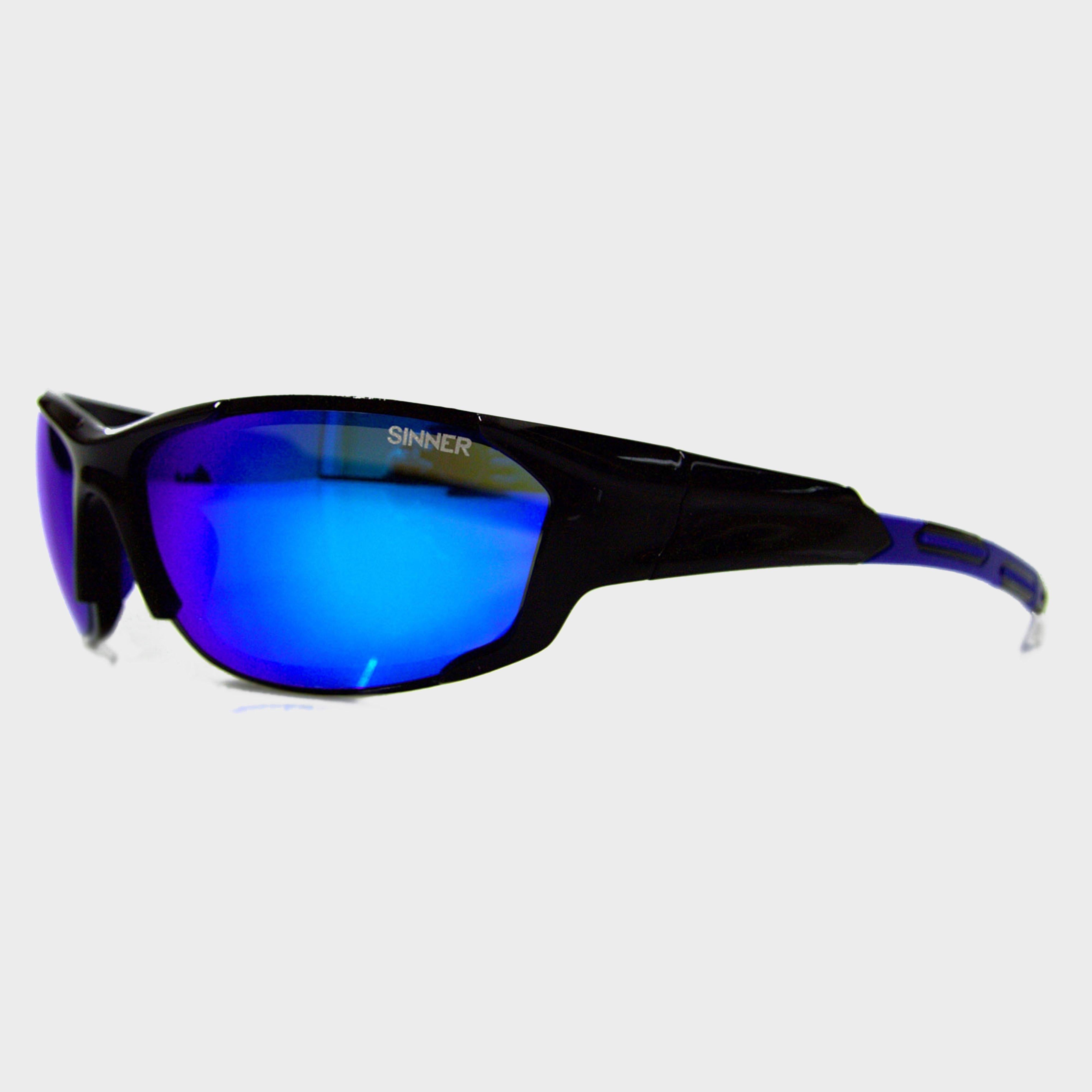 Baker Sunglasses (Shiny Black - Blue Revo)
