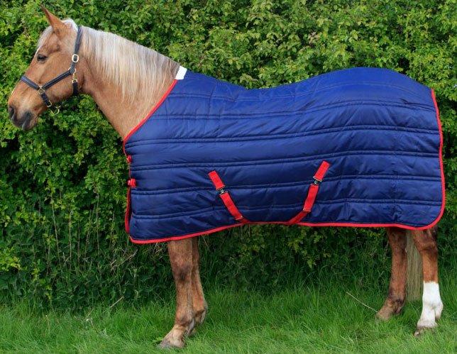Thomas Stable Rug