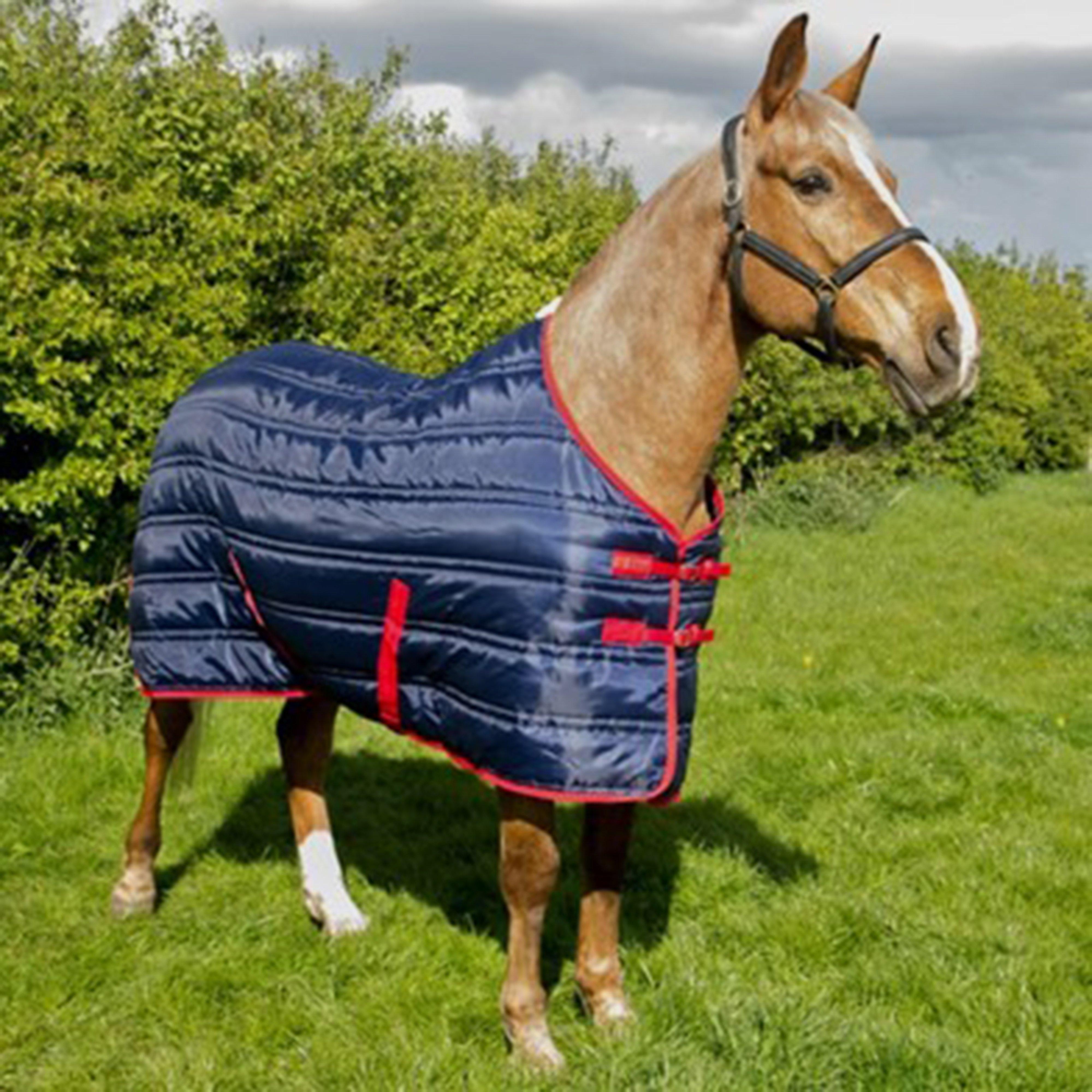Thomas Stable Rug