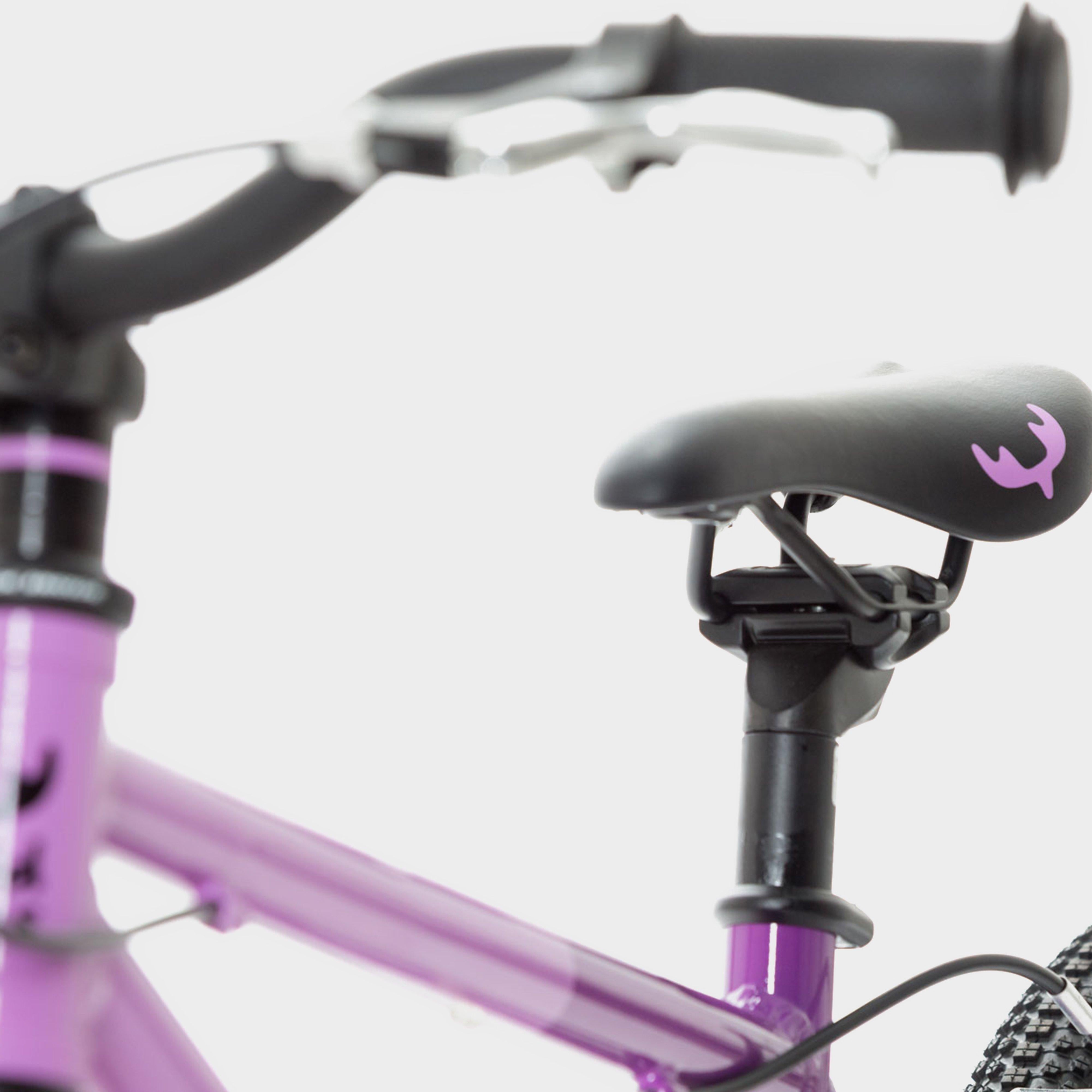 Wild 18 Kids' Bike