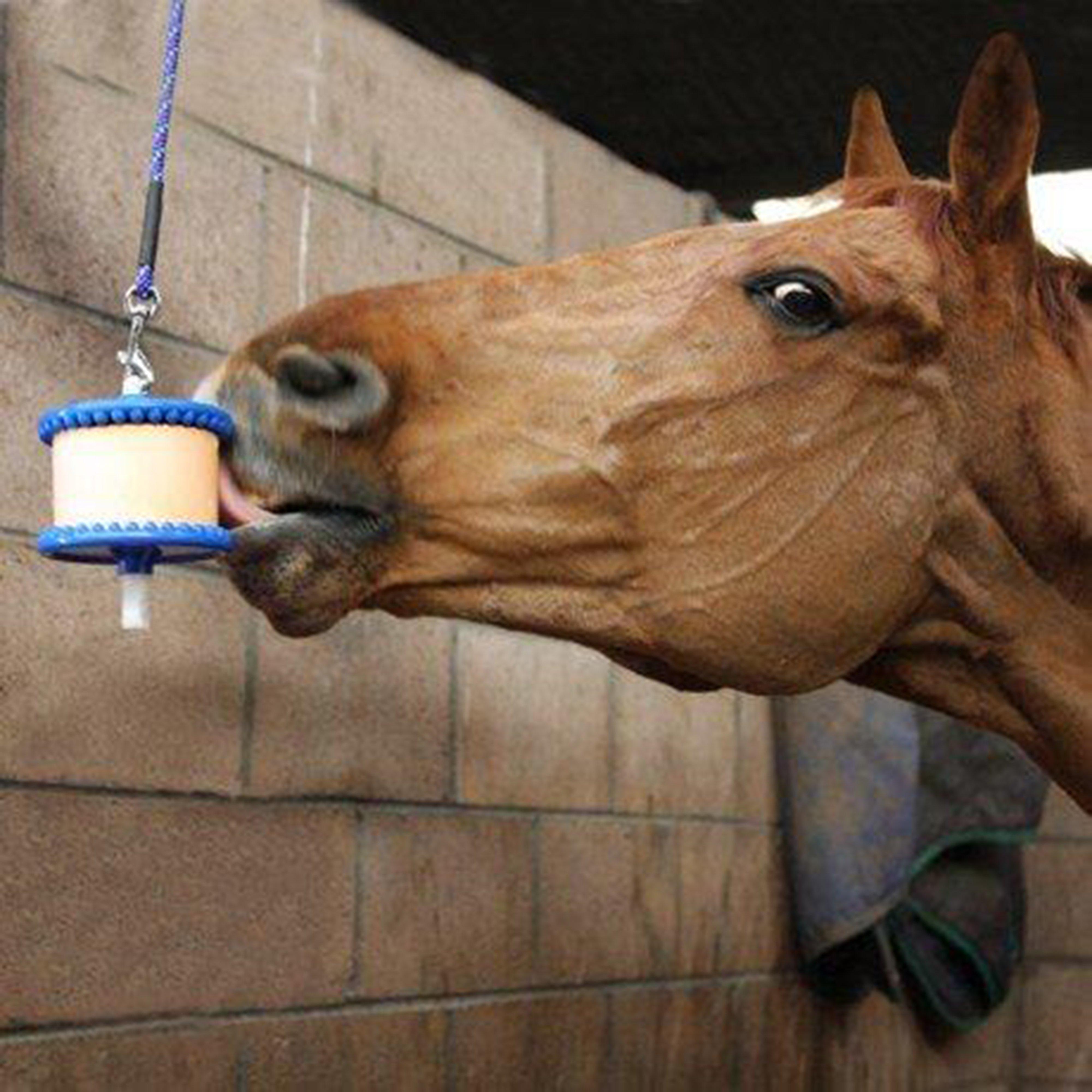 Horse Lick