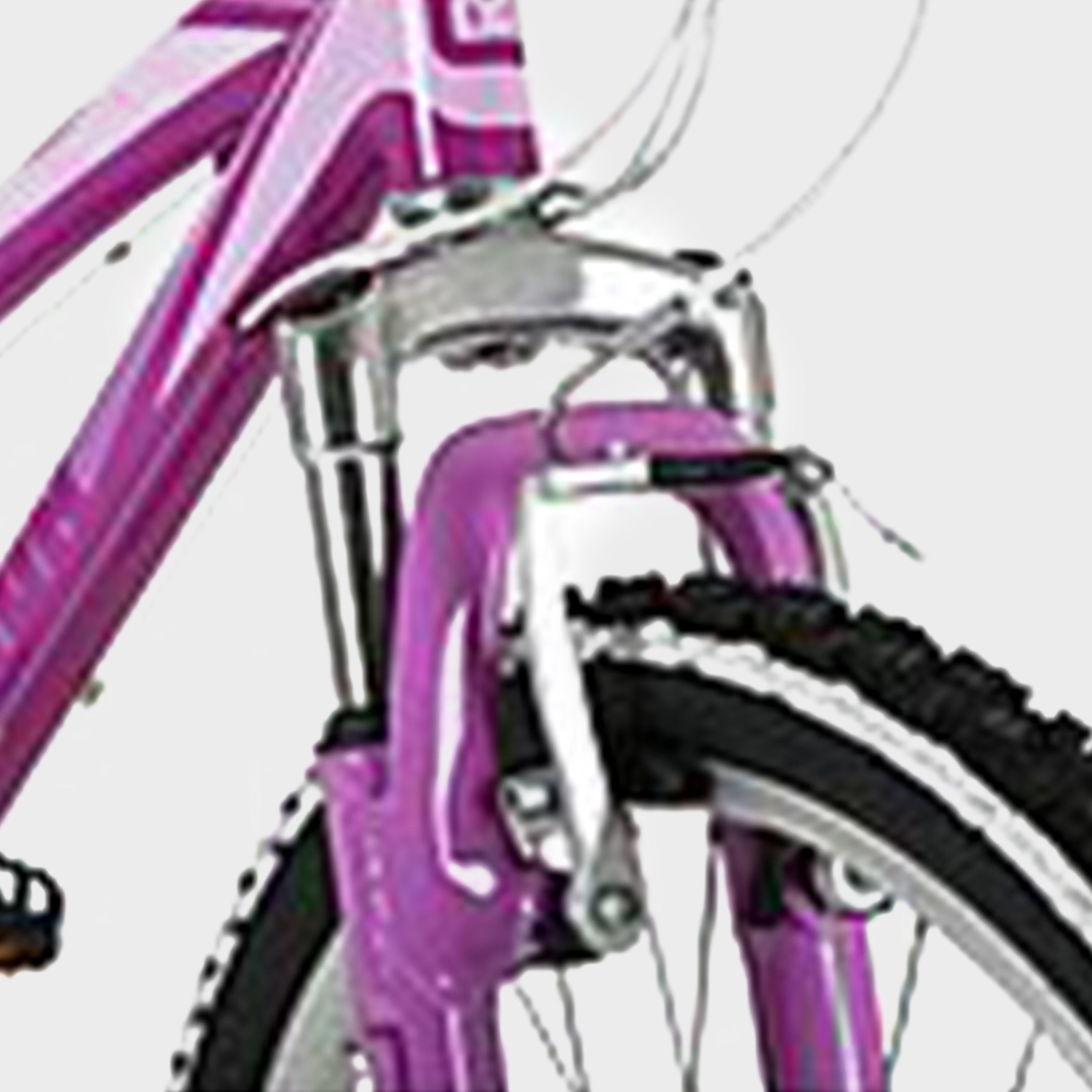 Kinetic 24" Kids' Mountain Bike