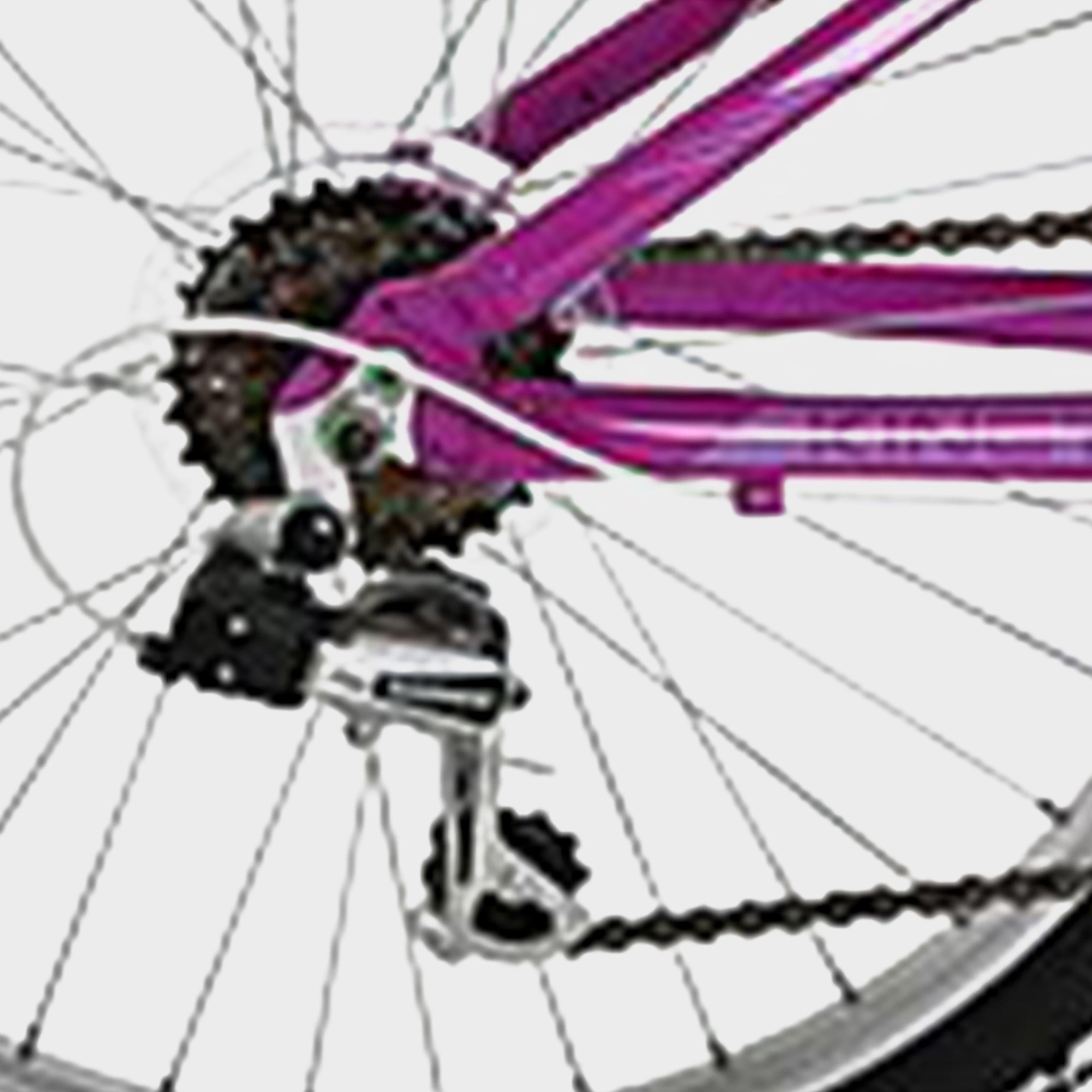 Kinetic 24" Kids' Mountain Bike