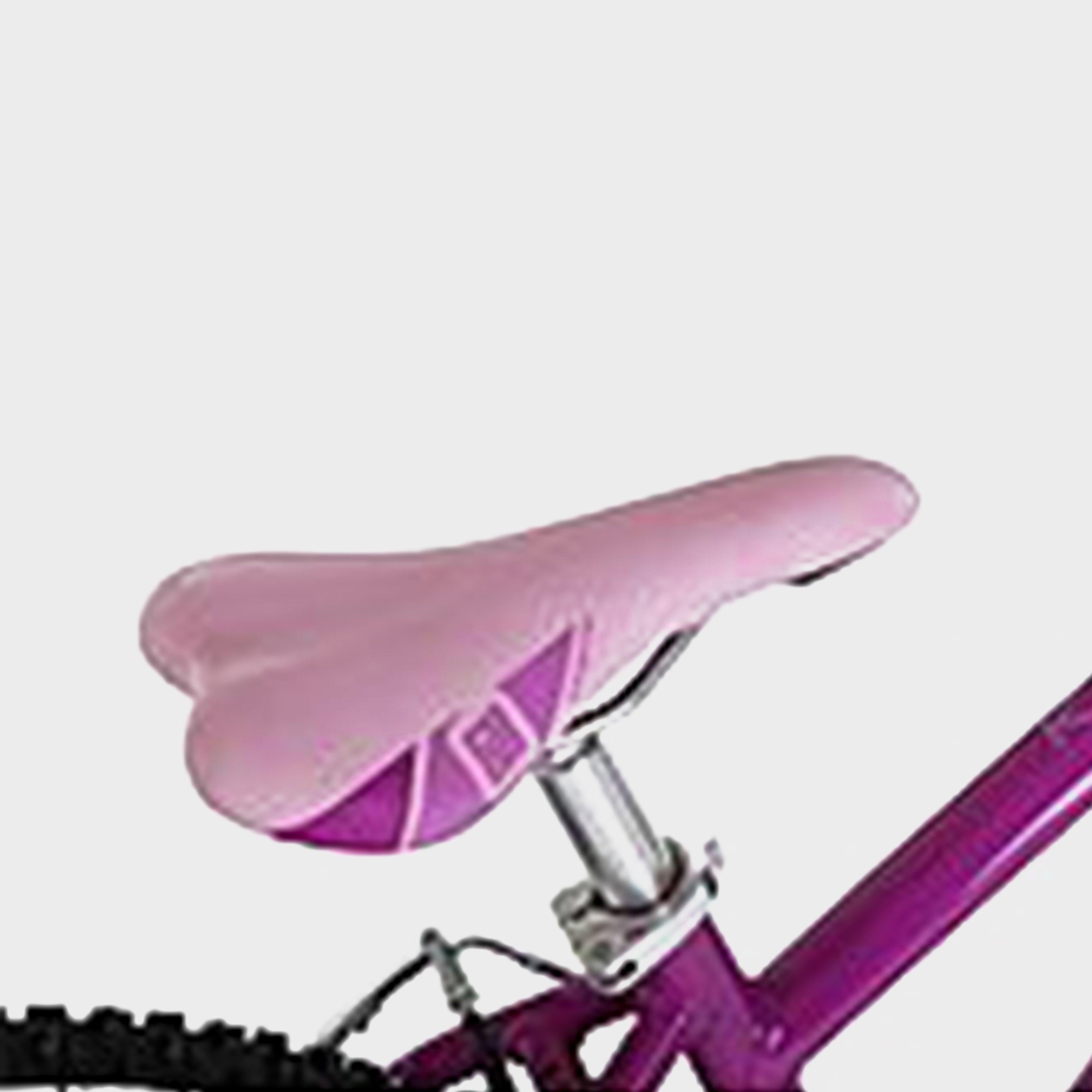 Kinetic 24" Kids' Mountain Bike