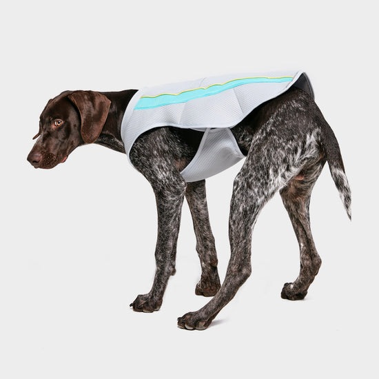 Swamp CoolerTM Vest